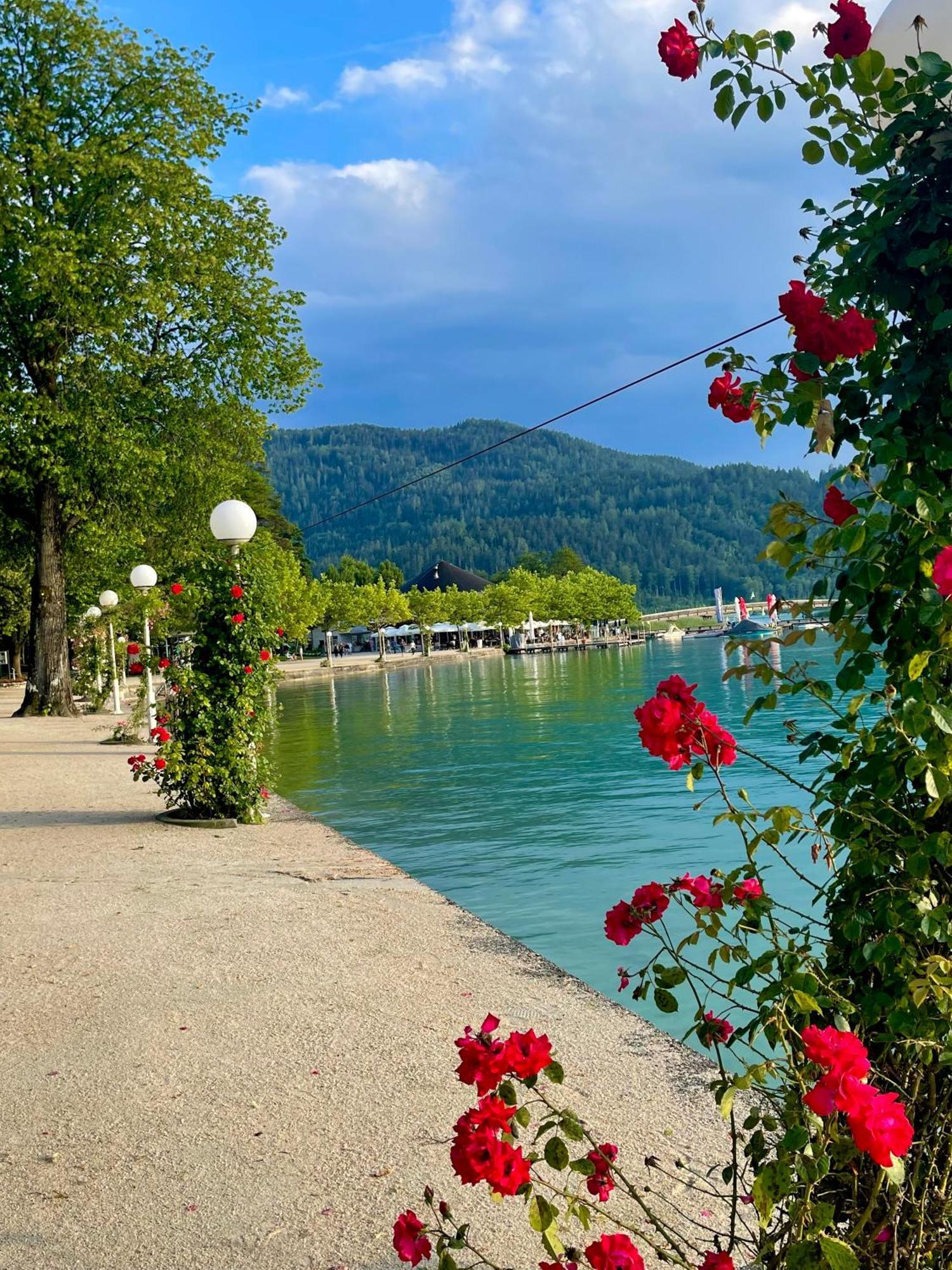 Pörtschach am Wörthersee Rooms 73 - Helga Bartos المظهر الخارجي الصورة